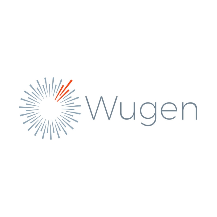 box for logos wugen